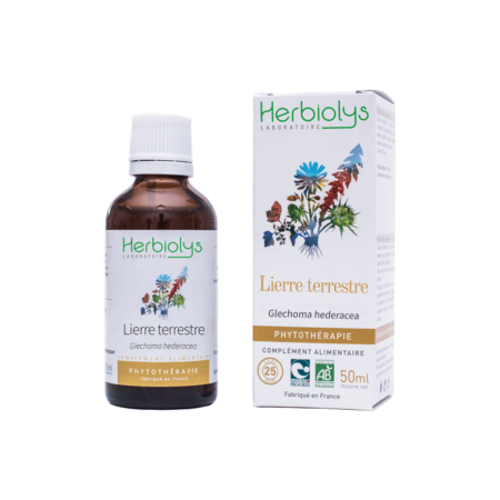 Phyto Lierre terrestre