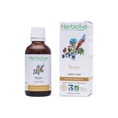 Phyto Noyer
