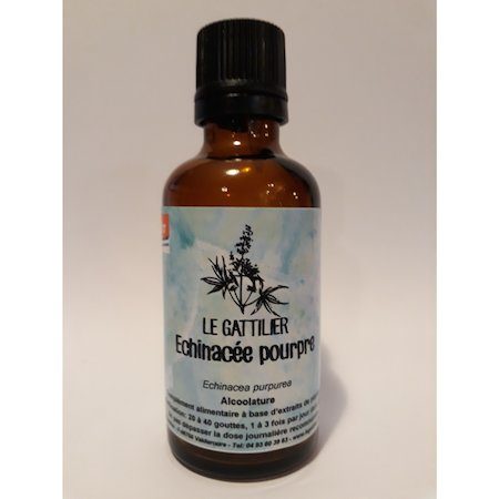 alcoolature echinacee pourpre extrait de plante biodynamique