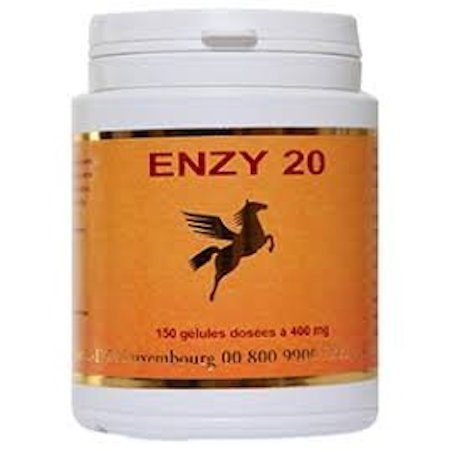 enzy20 enzymes