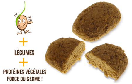 galettes-de-cereales-germes-haricots-blancs-tomate-gaia-reponsesbio