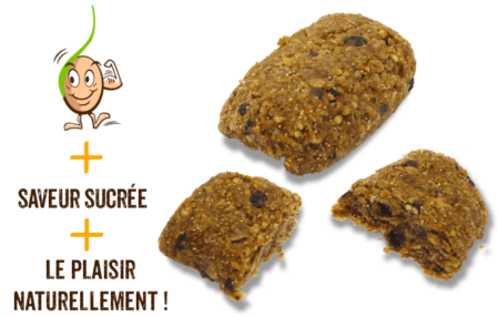 galettes-de-cereales-germes-multigrains-gaia-reponsesbio