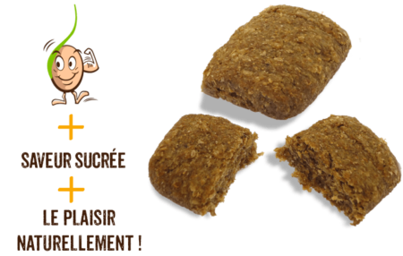 galettes-de-cereales-germes-raisins-gaia-reponsesbio