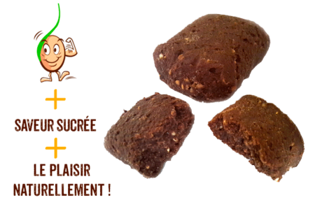 Galettes de sarrasin germé au cacao 2x100g