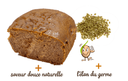 pain-aux-epices-miel-300g-gaia-reponsesbio