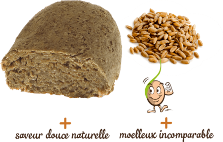 pain-epeautre-250g-gaia-reponsesbio