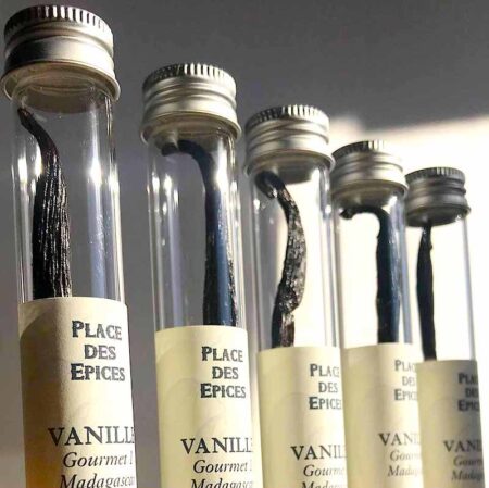 Vanille-Bourbon-gourmet-madagascar-reponsesbio
