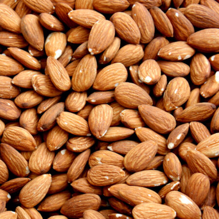 Amandes décortiquées grillées bio vrac réponses bio