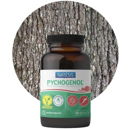 pycnogenol-120-gelules-Natesis-Reponsesbioshop