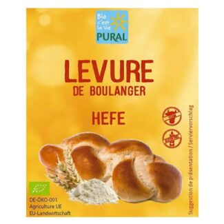 Levure-boulanger-biologique