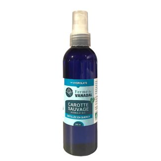 Hydrolat-carotte-sauvage-bio-reponsesbioshop