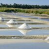 Marais-salants-noirmoutier-reponsesbio