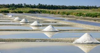 Marais-salants-noirmoutier-reponsesbio