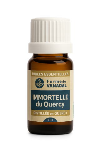 Huile-essentielle-Immortelle-Quercy-bio-Reponsesbio