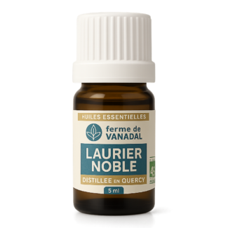 Huile-essentielle-Laurier-Quercy-bio-Reponsesbio