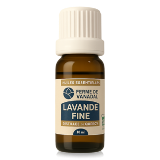 Huile-essentielle-Lavande-fine-Quercy-bio-Reponsesbio