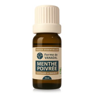 Huile-essentielle-Menthe-poivree-Quercy-bio-Reponsesbio