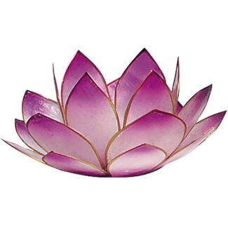 Photophore-nacre-lavande-ReponsesBio