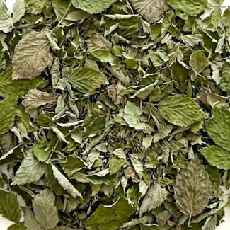 Feuilles-framboisier-bio-reponsesbio